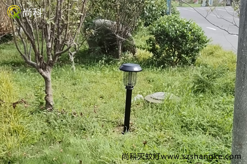 浙江嘉興無蚊村的秘密，太陽能滅蚊燈是亮點