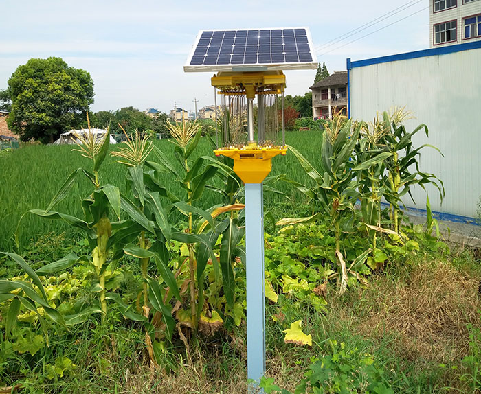 油菜基地殺蟲燈多少畝一個